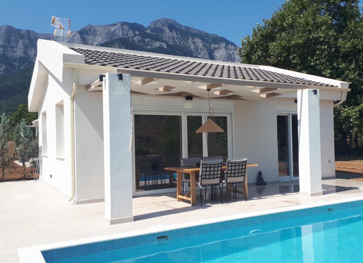 Casa O' - Moderne Villa Mit Grosser Terrasse Und Privatem Swimmingpool Скала-Потамиас Экстерьер фото